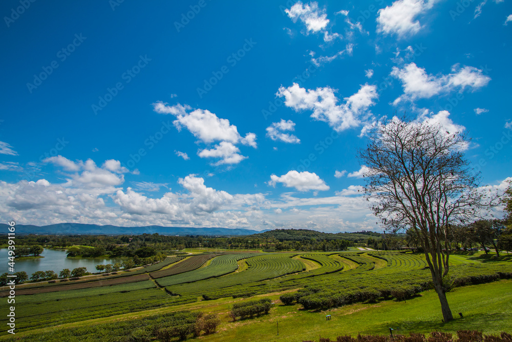 green farm sky clouds beautiful mountains good weather