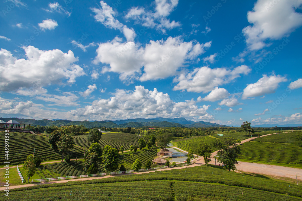 Naklejka premium green farm sky clouds beautiful mountains good weather