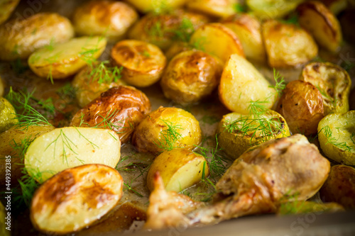 Early baked potatoes with zucchini and chicken