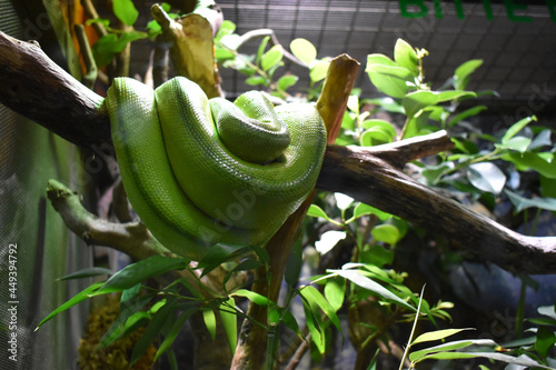 Haus der Natur Salzburg photo