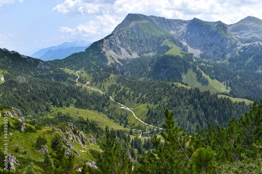 Naklejka premium Jenner