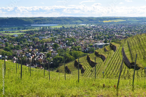 Weinberge Spitzhaus Radebeul