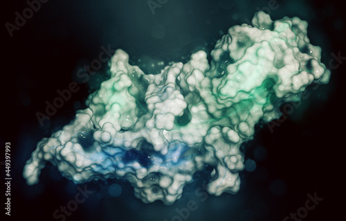 Human Chorionic Gonadotropin (hCG) glycoprotein hormone, 3D rend photo