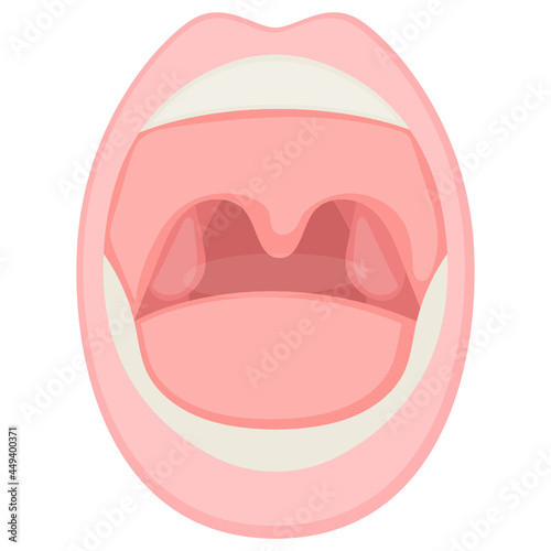 Human Mouth Concept, Throat and Tonsils Vector color Icon Design, Organ System Symbol, Human Anatomy Sign, Human Body Parts Stock illustration
