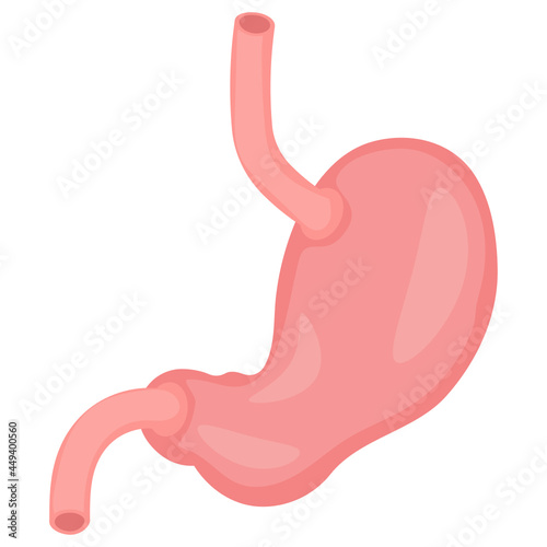 Human stomach Concept Vector color Icon Design, Organ System Symbol, Human Anatomy Sign, Human Body Parts Stock illustration