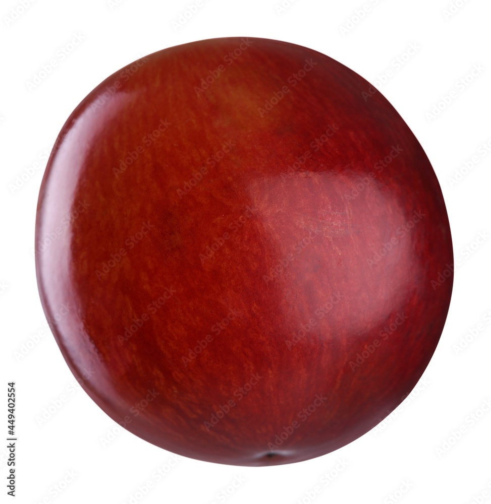 Obraz premium Autumn.