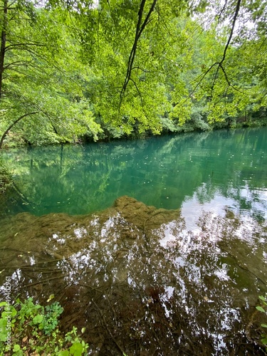 Landscape river in the forest