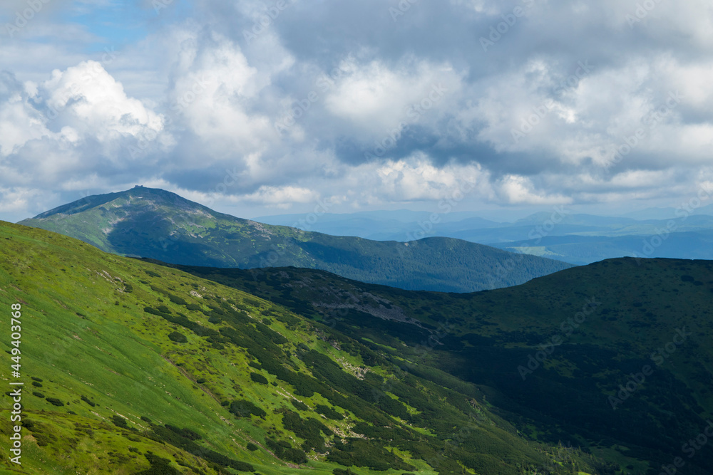 Mountain landscape. Green grass, blue mountains, flowers and needles. Montenegrin ridge in Ukraine in July. Hike in the Carpathian Mountains.