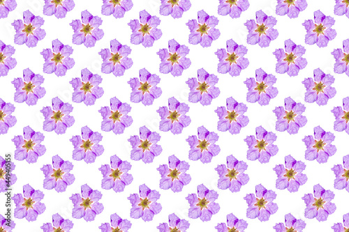 Pattern image of Queen's flower on white background.