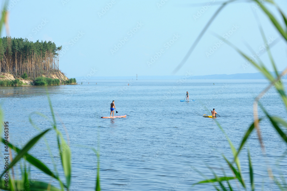 wooded promontory, people sunbathing riding Sup boards on the water of the big river