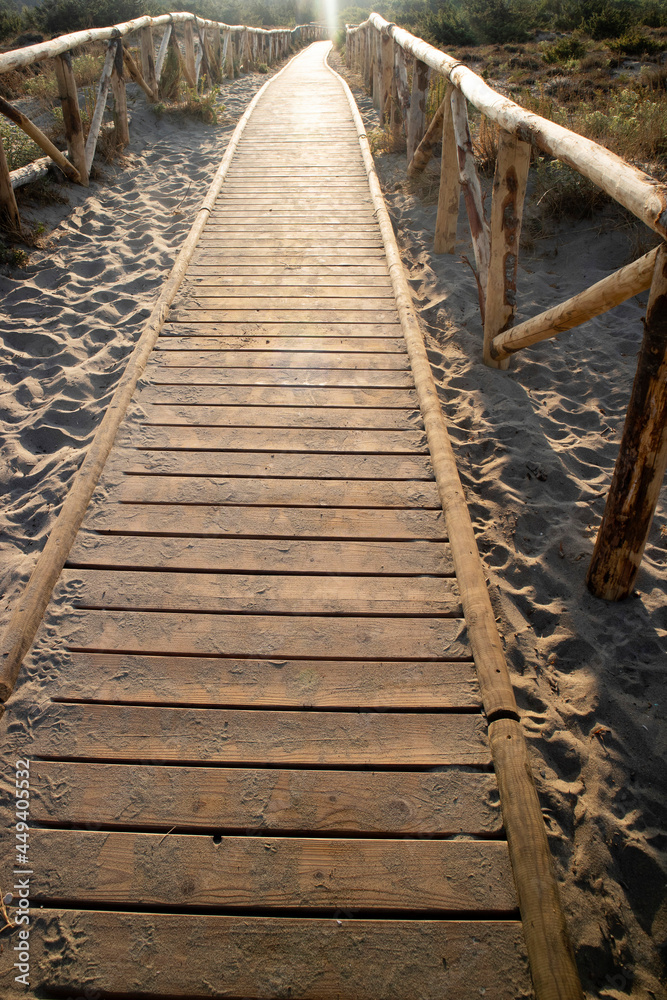 Walkway leading to the sea in the natural park of Viareggio Italy Walkway leading to the sea in the natural park of Viareggio Italy