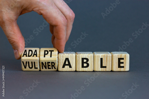 Vulnerable or adaptable symbol. Businessman turns wooden cubes and changes the word Vulnerable to Adaptable. Beautiful grey background, copy space. Business and vulnerable or adaptable concept.