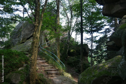 Wanderweg mit Treppen neben Wildbach