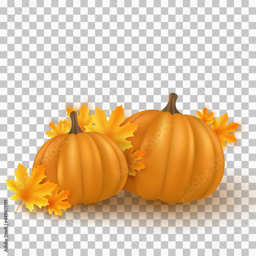 Realistic 3d pumpkins with maple leaves isolated on transparent background. Fall background for Thanksgiving or Halloween. Autumn plants. Vector illustration