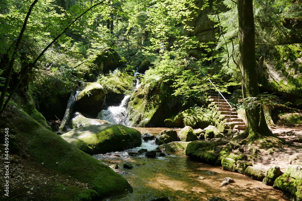 Wildbach Gertelbachfälle im Schwarzwald Wildbach Gertelbachfälle im Schwarzwald
