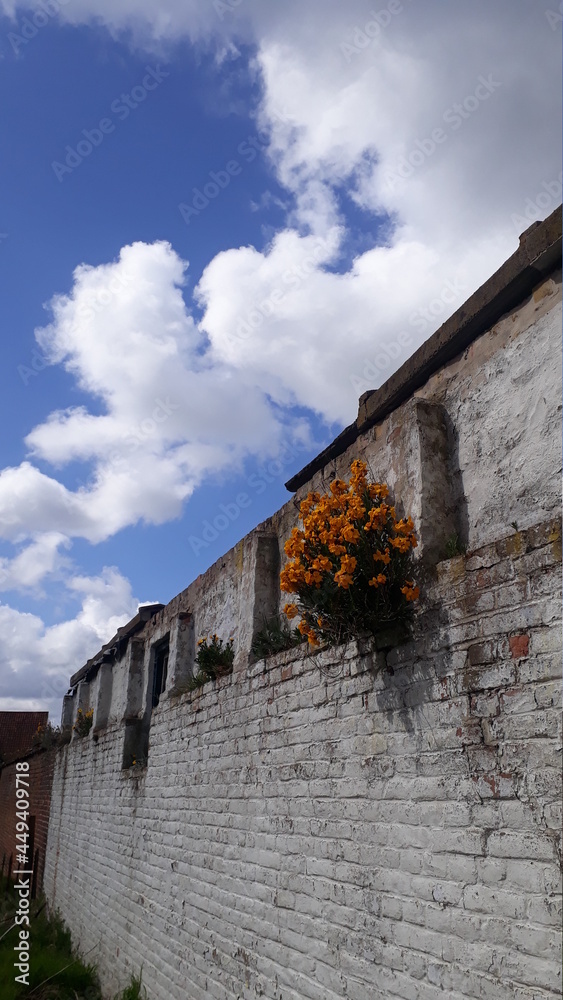 old building with flowers