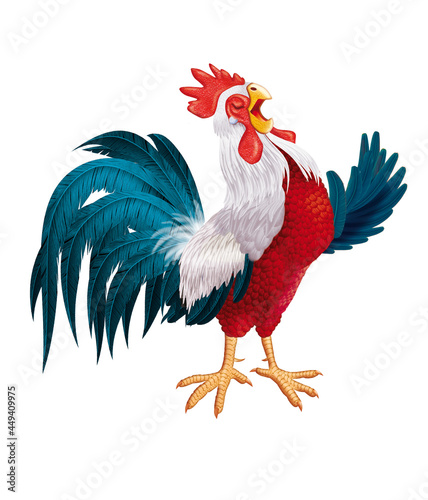 coq français, coq gaulois, coloré, bleu blanc rouge, mascotte, fier, mâle dominant, chant de coq, orgueilleux, drapeau français, coupe du monde, foot, ailes, oiseau, animal, ferme, volaille, coquelet, photo