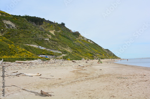 spiaggia di fiorenzuola di focara parco naturale di san bartolomeo a pesaro photo