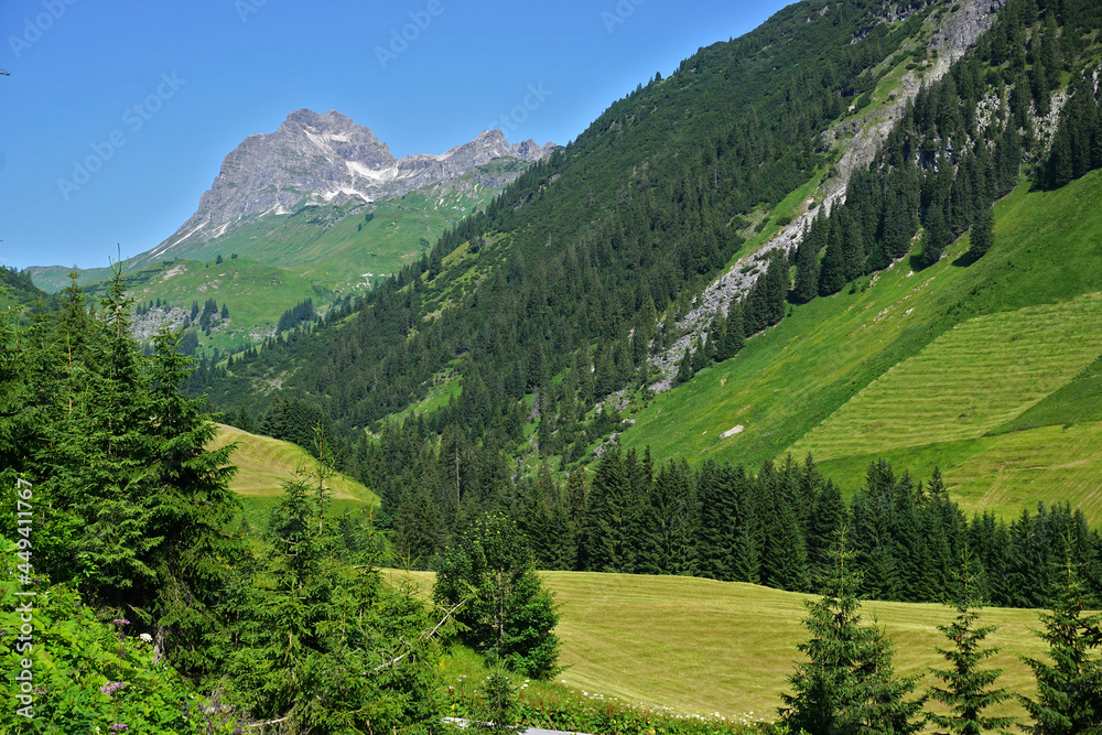 Am Hochtannbergpass, Blick zum Widderstein, Vorarlberg, Österreich