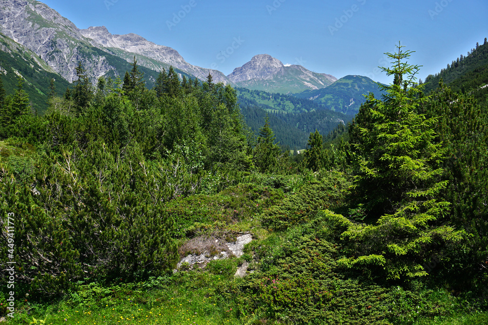 Lechquellengebirge beim Formarinjoch, Blick zum Warther Horn, Vorarlberg, Österreich