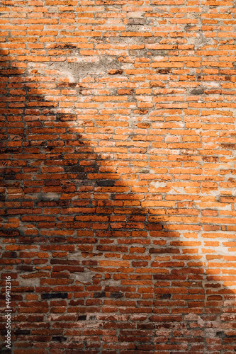 brick wall in light and shadow