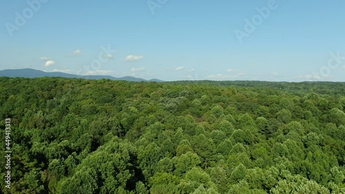Forest landscape with mountains on the horizon in Georgia