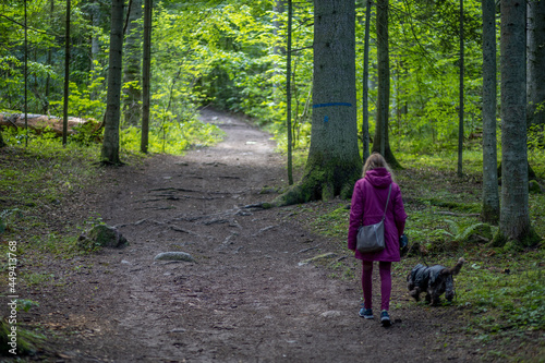 Lost girl walking in her dog in Omberg woodlands, Sweden