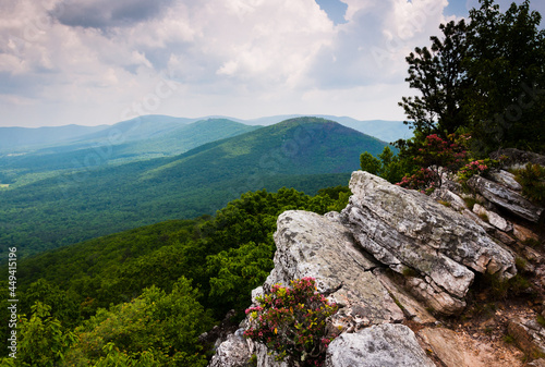Photography Hiking in George Washington National Forest, Virginia, USA