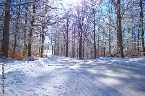 A Winter road on the Swedish woods