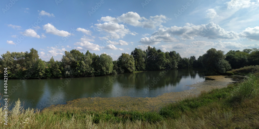 Fototapeta premium A summer walk through the forest, a beautiful panorama.