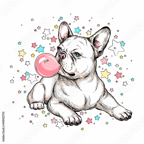 Cute french bulldog on a background of stars. Image for printing on any surface
