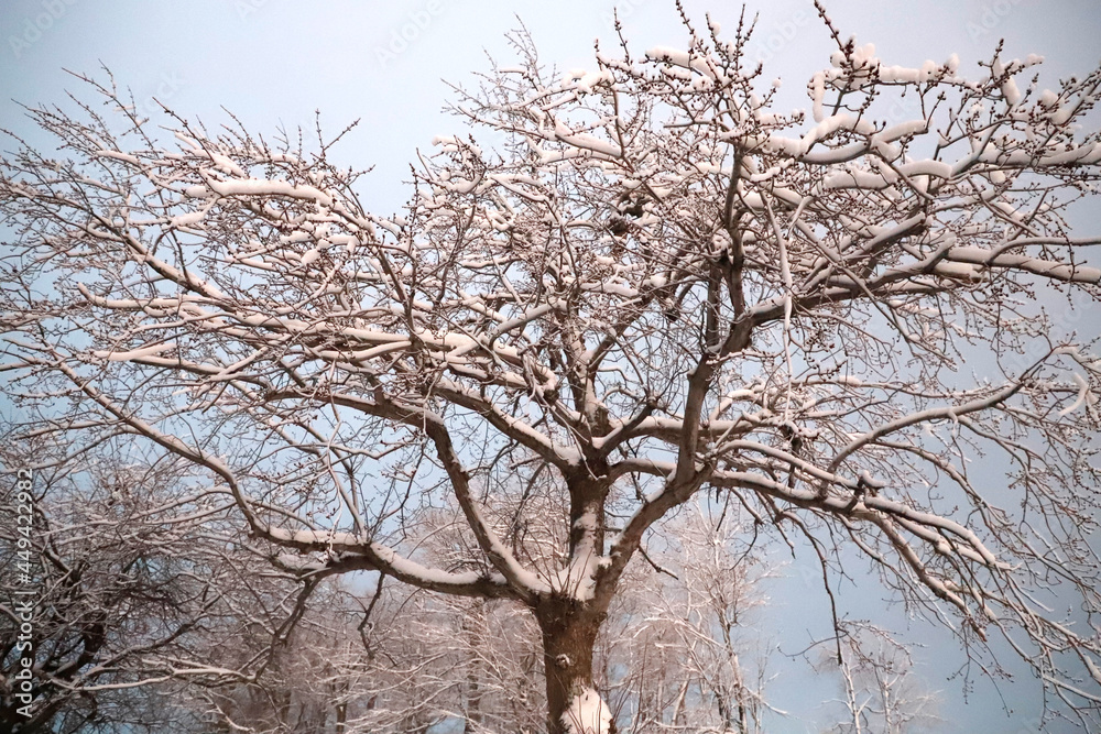 Niagara in winter Niagara in winter