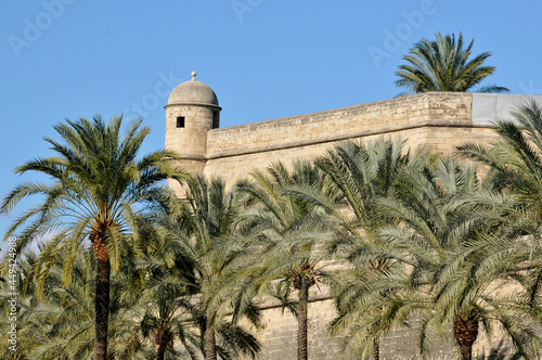 Palmeras y muros del castillo de Sant Pere en Palma de Mallorca, islas Baleares, España