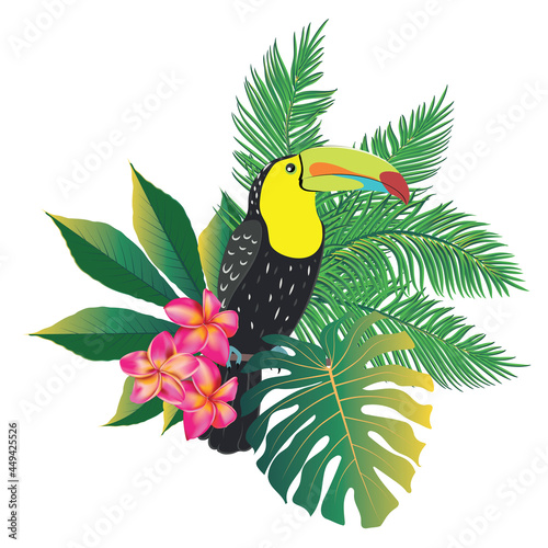 Keel billed toucan with tropical leaves