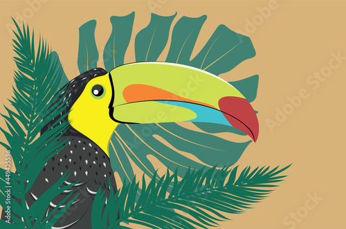 Keel billed toucan with tropical leaves