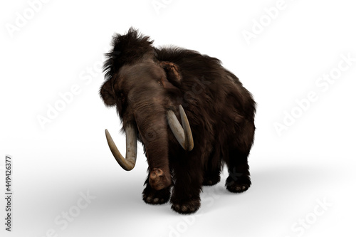 3D illustration of a Woolly Mammoth, the extinct relative of the Elephant which lived in the last ice age isolated on a white background.
