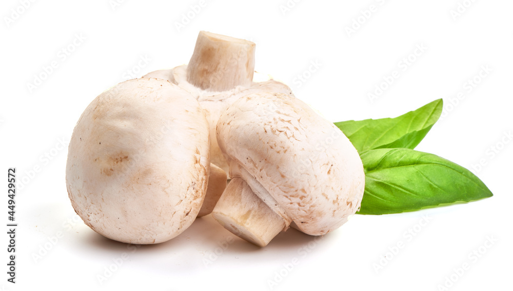 Champignons, close-up, isolated on white background. Champignons, close-up, isolated on white background.