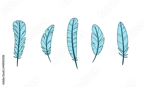Set of different bird feathers. Color vector illustration of flat outline style. White isolated background.
