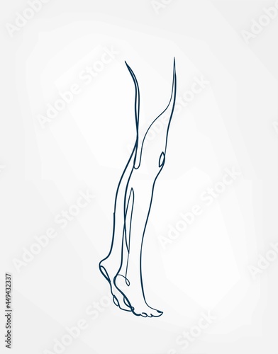 legs girl line art single line isolated vector illustration abstract
