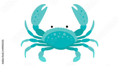 Sea Crab. Green cartoon Crab with claws. Abstract vector illustration of oceanic creature. Turquoise color. Modern illustration of sea animal.