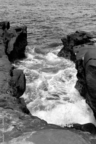 San Diego Ocean