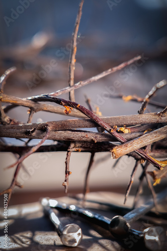 Obraz na płótnie Close up bloody nails and crown of thorns as symbol of passion of Jesus Christ