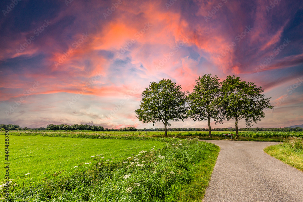 Dutch landscape stream valley Rolderdiep near Anderen with three trees at the intersection of Achterstekoelandendijk and Landrietendijk against a background of setting sun Dutch landscape stream valley Rolderdiep near Anderen with three trees at the intersection of Achterstekoelandendijk and Landrietendijk against a background of setting sun