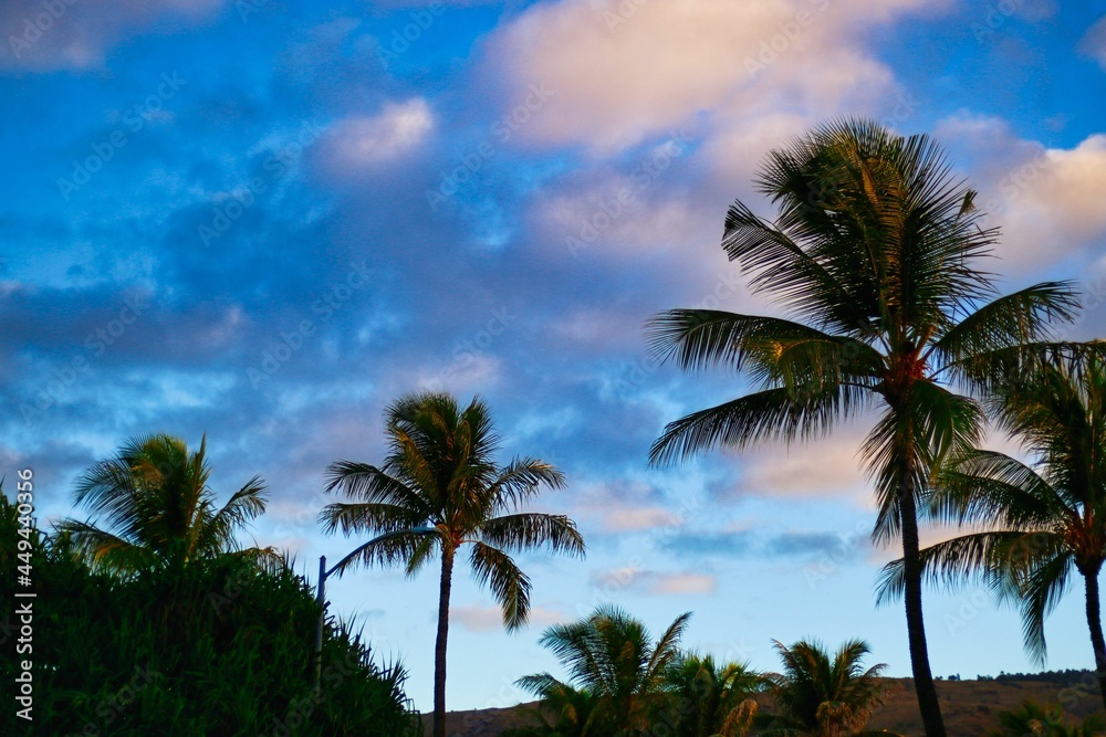 ハワイ州オアフ島コオリナ地区夜明け