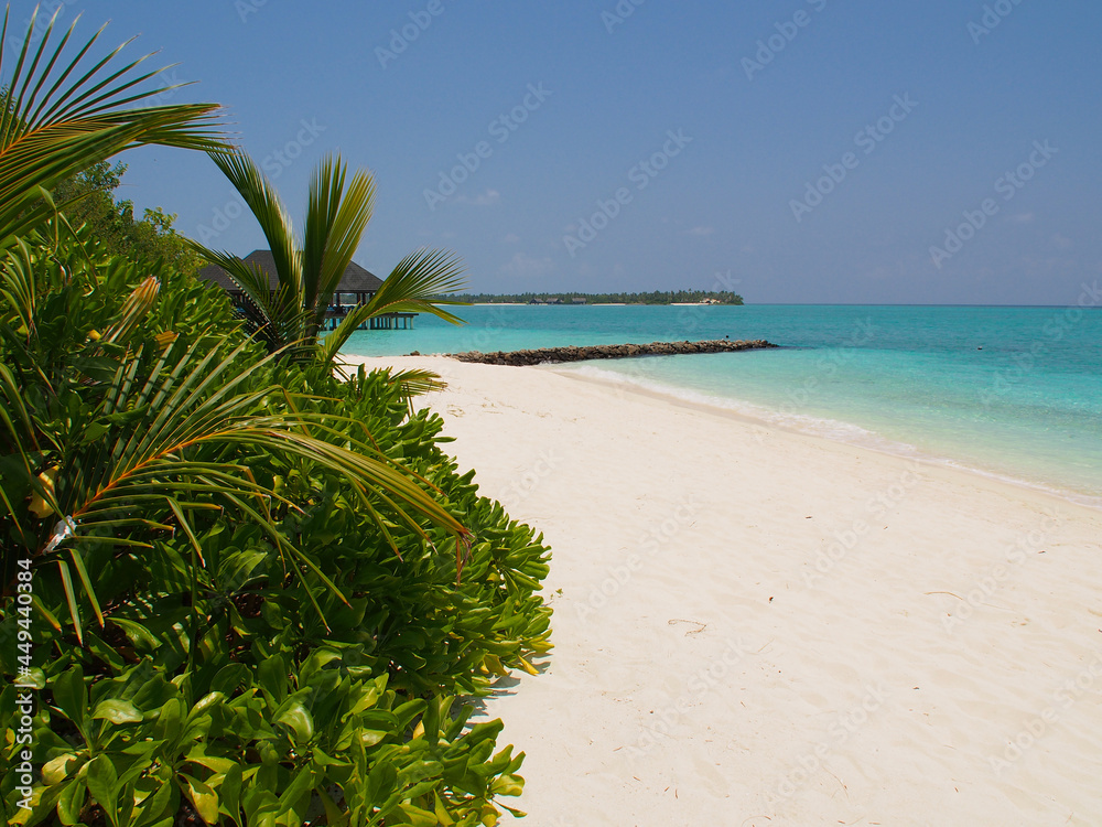 Sunny day with white sand, blue water and green bushes in the Maldives. Copy space for text.