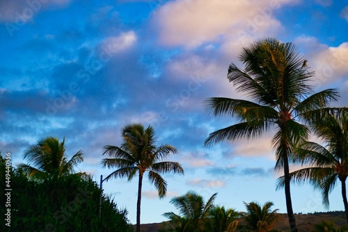 ハワイ州オアフ島コオリナ地区夜明け