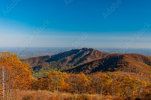 Autumn In The Appalachian Mountains, Shenandoah National Park, Virginia, USA