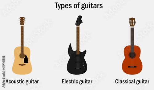 Vector illustration types of guitars. Acoustic guitar, electric guitar, classical guitar.