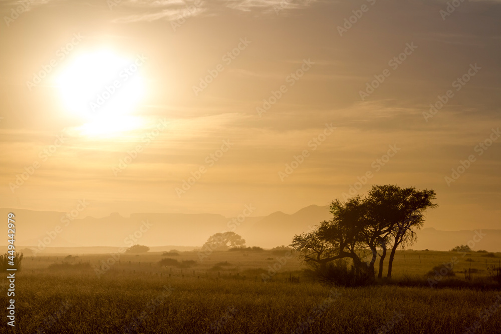 Landschaft Namibia, Morgenlicht