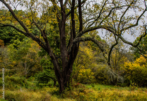 Autumn At Valley Forge National Historical Park, Pennsylvania USA